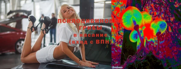 прущие грибы Елабуга