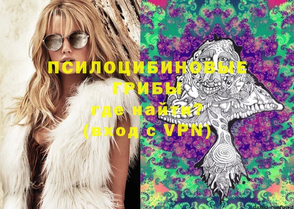 амфетамин Ельня