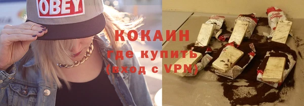 прущие грибы Елабуга