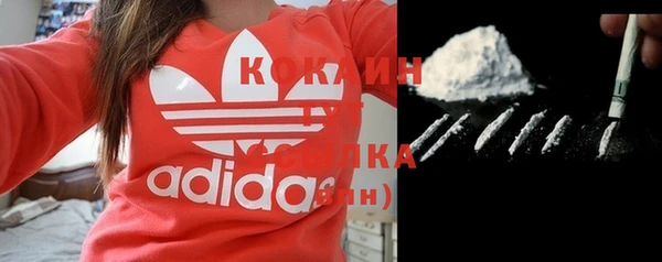 прущие грибы Елабуга