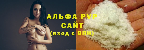 прущие грибы Елабуга