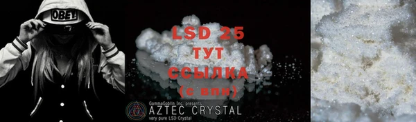 стаф Елизово