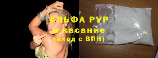 стаф Елизово