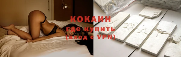 стаф Елизово