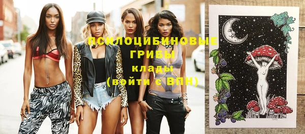 прущие грибы Елабуга