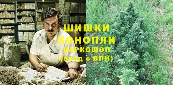 стаф Елизово