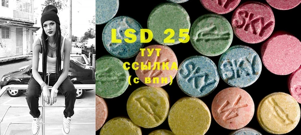 прущие грибы Елабуга