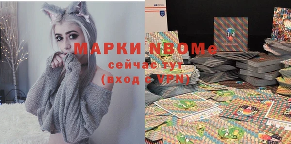 гашик Дмитровск