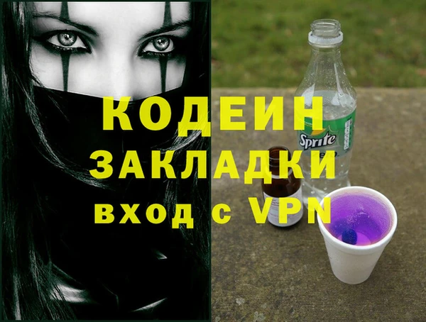 стаф Елизово