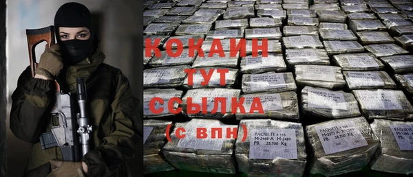 прущие грибы Елабуга