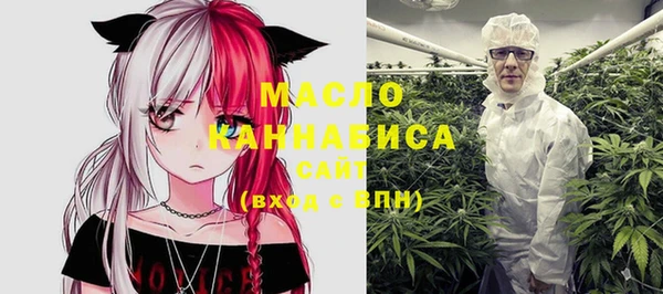 прущие грибы Елабуга