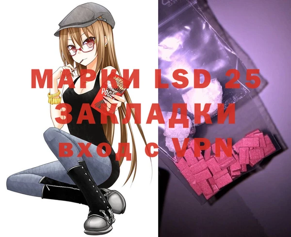 стаф Елизово