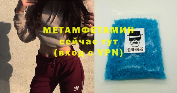 прущие грибы Елабуга