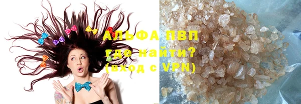 прущие грибы Елабуга