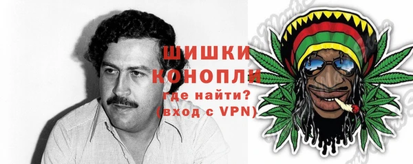 стаф Елизово