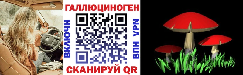 Галлюциногенные грибы GOLDEN TEACHER  купить наркоту  Салехард 
