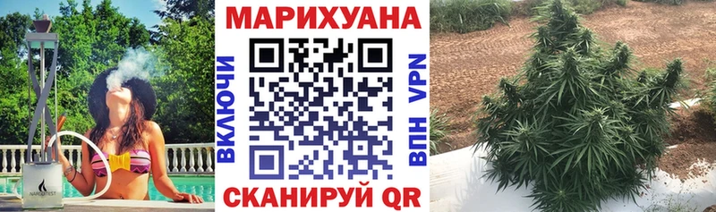 Бошки марихуана MAZAR  сколько стоит  Салехард 